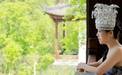 草莓丝瓜向日葵樱桃榴莲